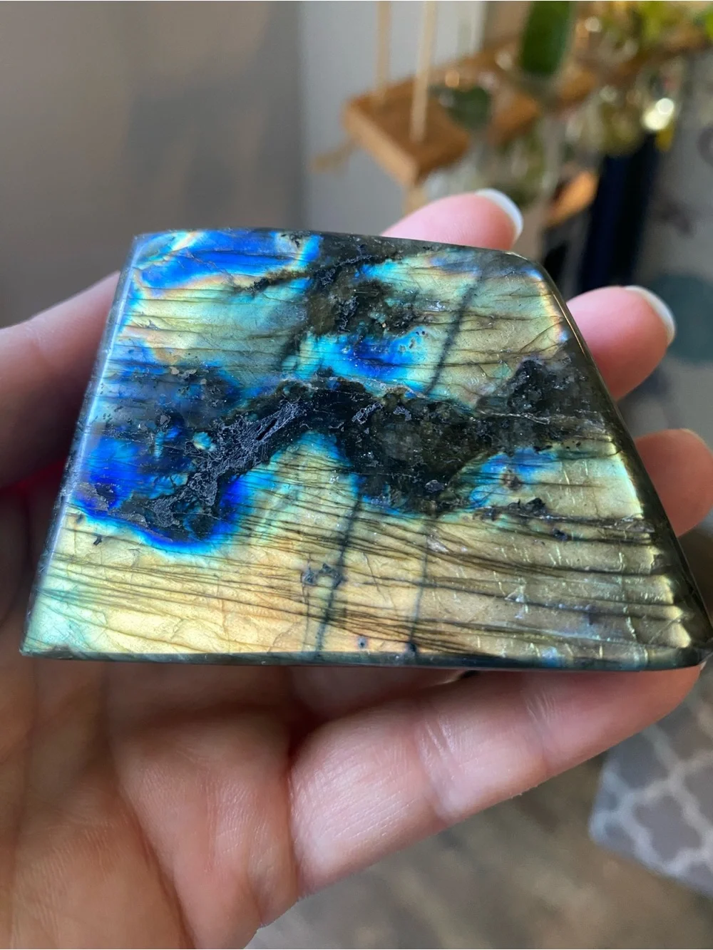 ✨ Golden Sunset Labradorite Freeform ✨